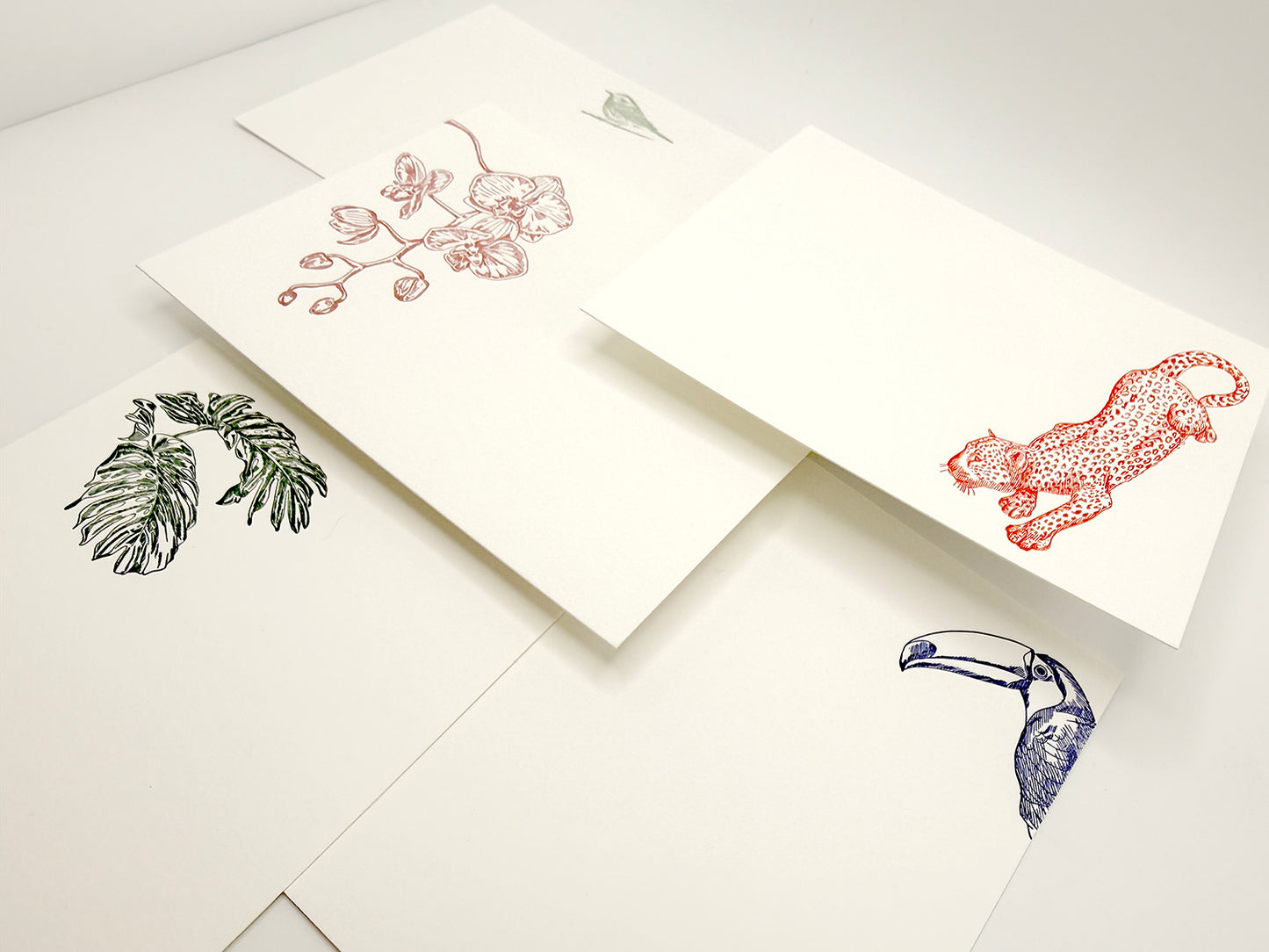 Bird Flat Card Pack