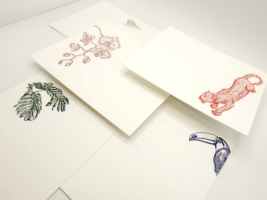 Jaguar Flat Card Pack