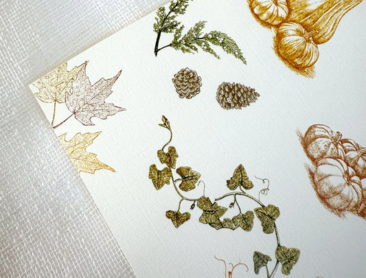 Autumn Harvest Placemats (Set of 12)