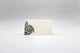 Holiday Forest Place Cards- Double-sided Table Tents (Set of 12)