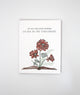 Of All The Love Stories Ours Is My Favorite Letterpress Greeting Card