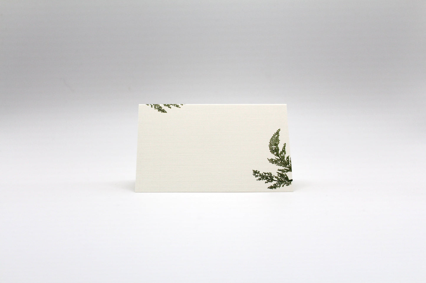 Pinecone Place Cards- Double-sided Table Tents (Set of 12)
