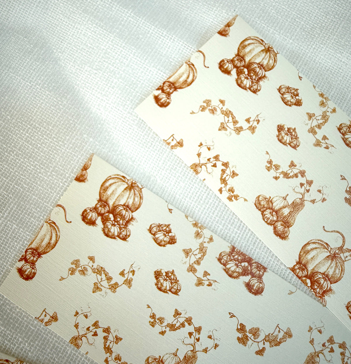 Pumpkins & Squash Napkin Bands (Set of 12)