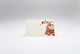 Pumpkins & Squash Place Cards – Double-sided Table Tents (Set of 12)