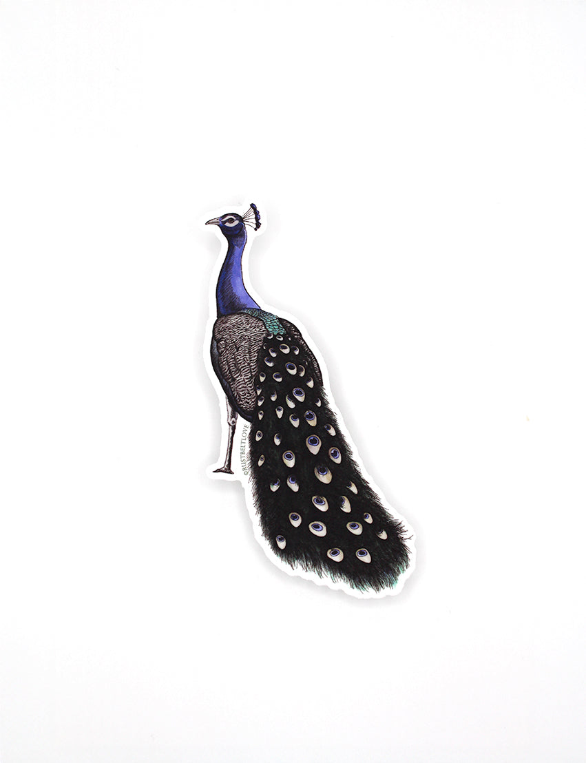 Peacock Sticker