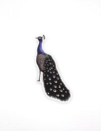 Peacock Sticker