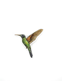 Hummingbird Sticker