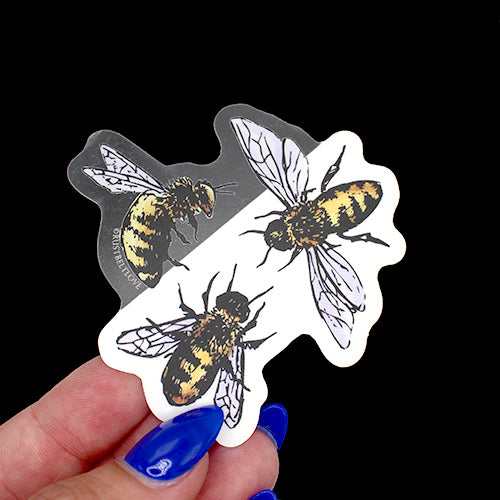 Clear background Bee Sticker