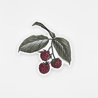 Raspberry Sticker