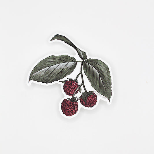 Raspberry Sticker