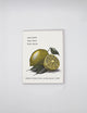 Sorry Everything Sucks Right Now Letterpress Greeting Card