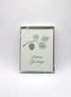 Box of green letterpress holiday cards with branch and pinecone that reads "Season's Greetings" by Rust Belt Love