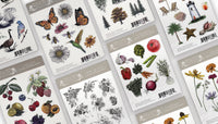 Floral Bouquets Clear Sticker Sheet