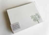 Letterpress flat note card with a green paperwhite by In Good Company