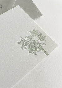 Letterpress flat note card with a green paperwhite by In Good Company